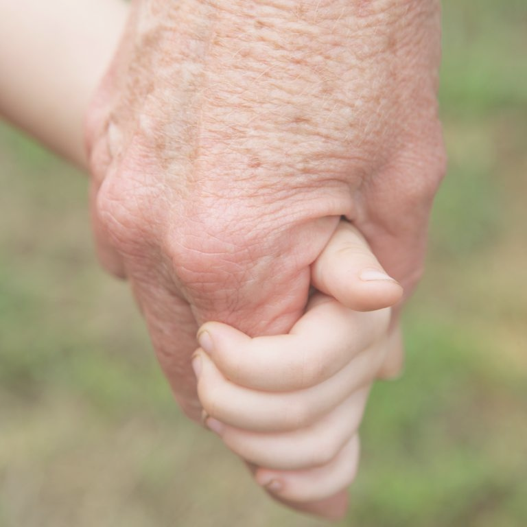 Une main adulte tient une petite main d'enfant, symbolisant l'amour et la connexion.